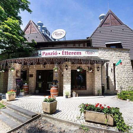 Tercia Hubertus Panzio Bed & Breakfast Sopron Eksteriør bilde