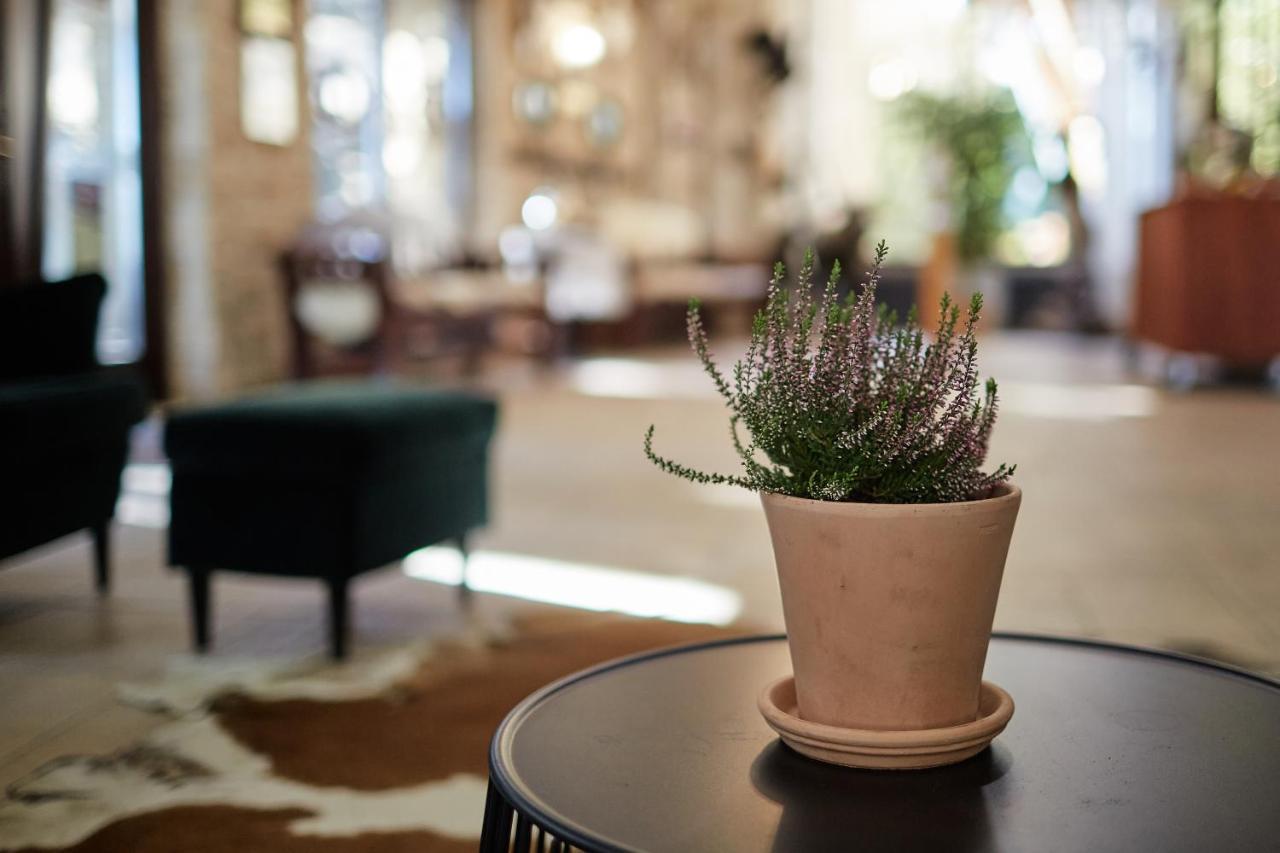 Tercia Hubertus Panzio Bed & Breakfast Sopron Eksteriør bilde