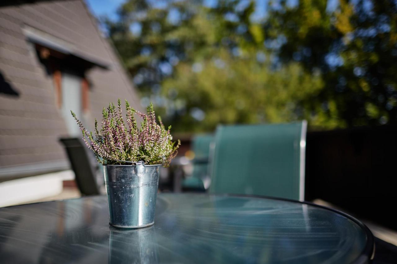 Tercia Hubertus Panzio Bed & Breakfast Sopron Eksteriør bilde