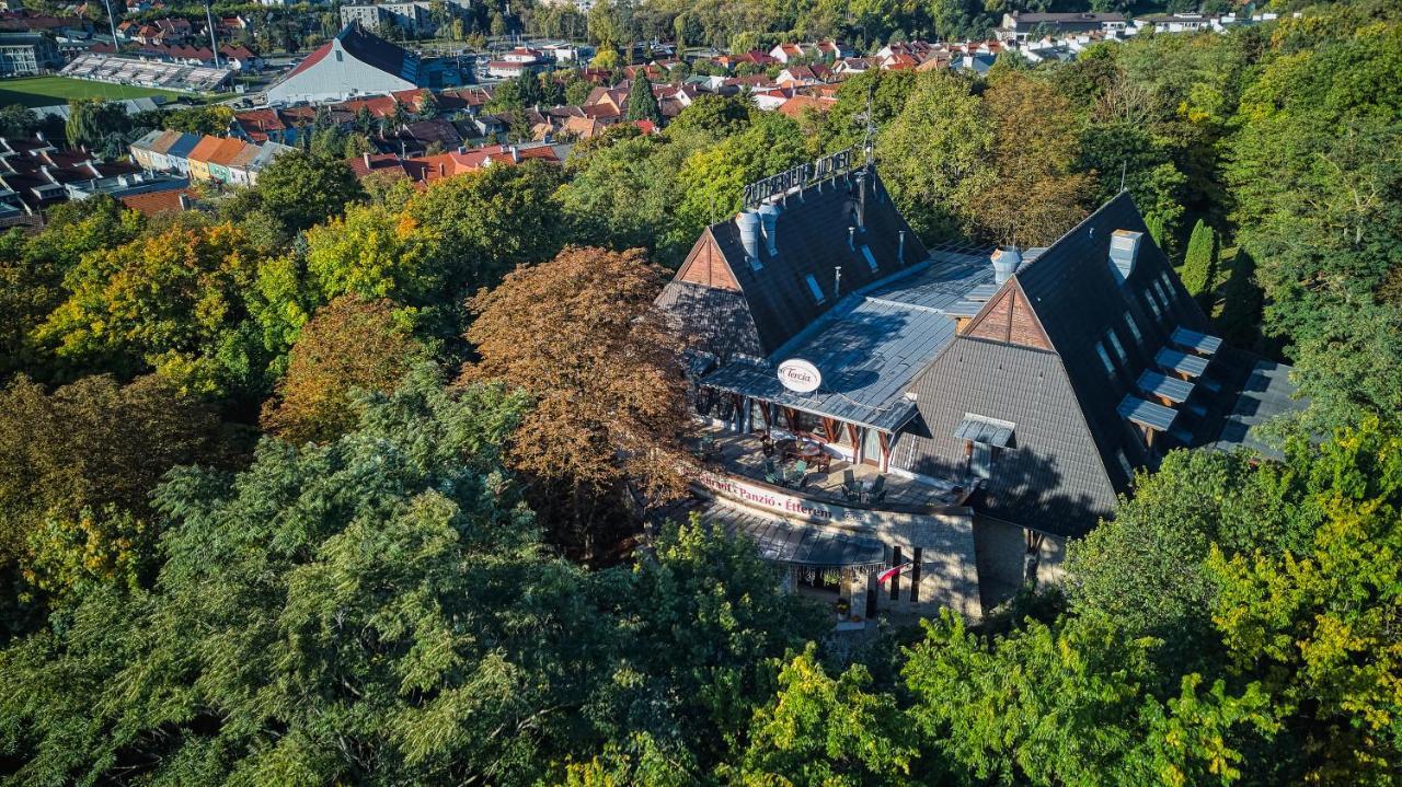 Tercia Hubertus Panzio Bed & Breakfast Sopron Eksteriør bilde